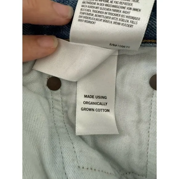 Agolde Fen High Rise Relaxed Straight Classic Preppy High End Luxury Jeans 29