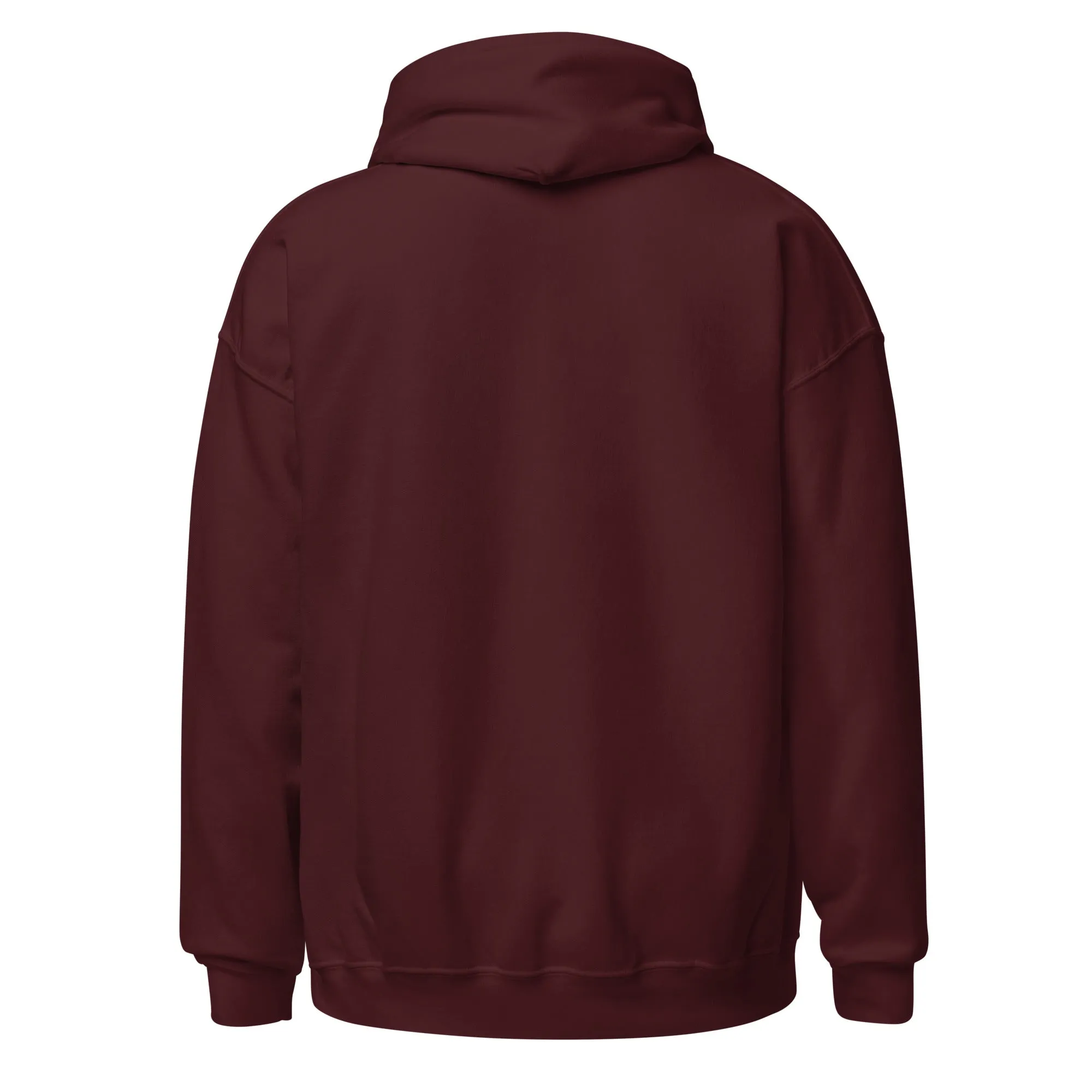 Celestial Eye Embroidered Hoodie