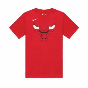 Chicago Bulls Icon NBA Logo T-Shirt - Red