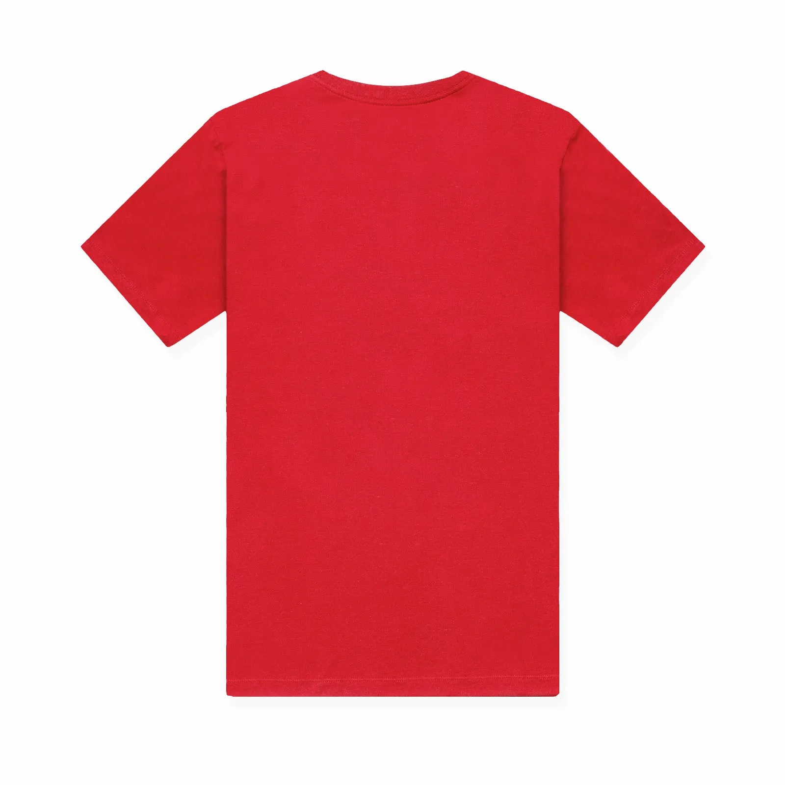 Chicago Bulls Icon NBA Logo T-Shirt - Red