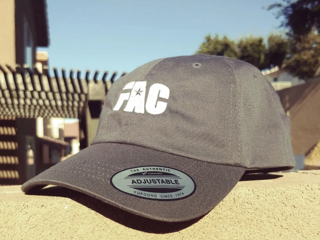 FAC Dad Cap (Gray)