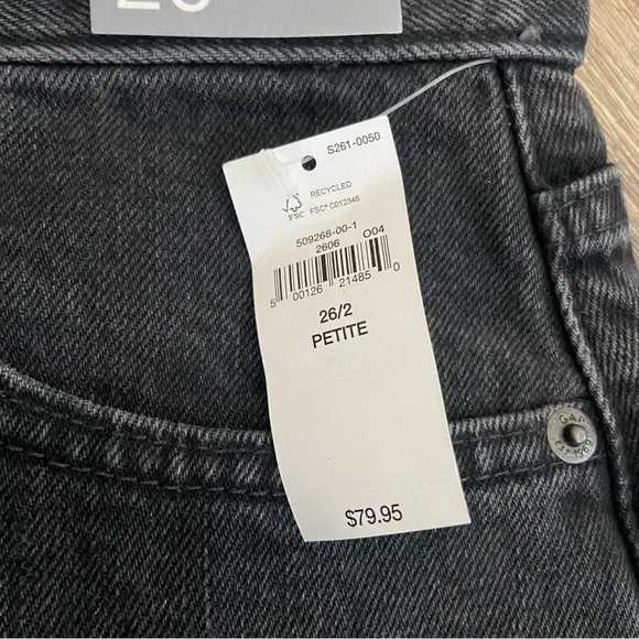 Gap High Rise Barrel Jeans Sz 2P