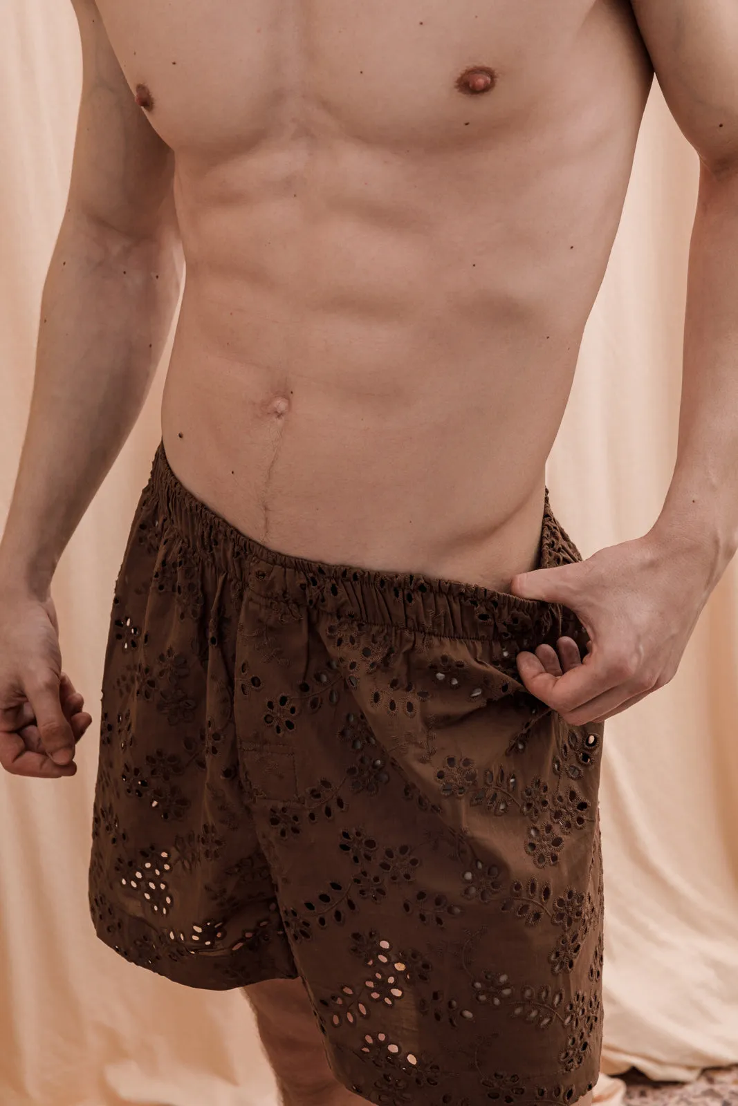 Iberis Embroidered Boxer Shorts Brown