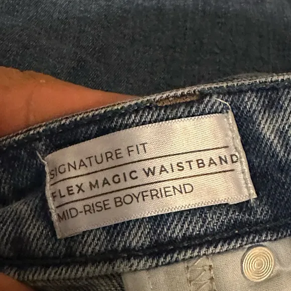 Lane Bryant jeans