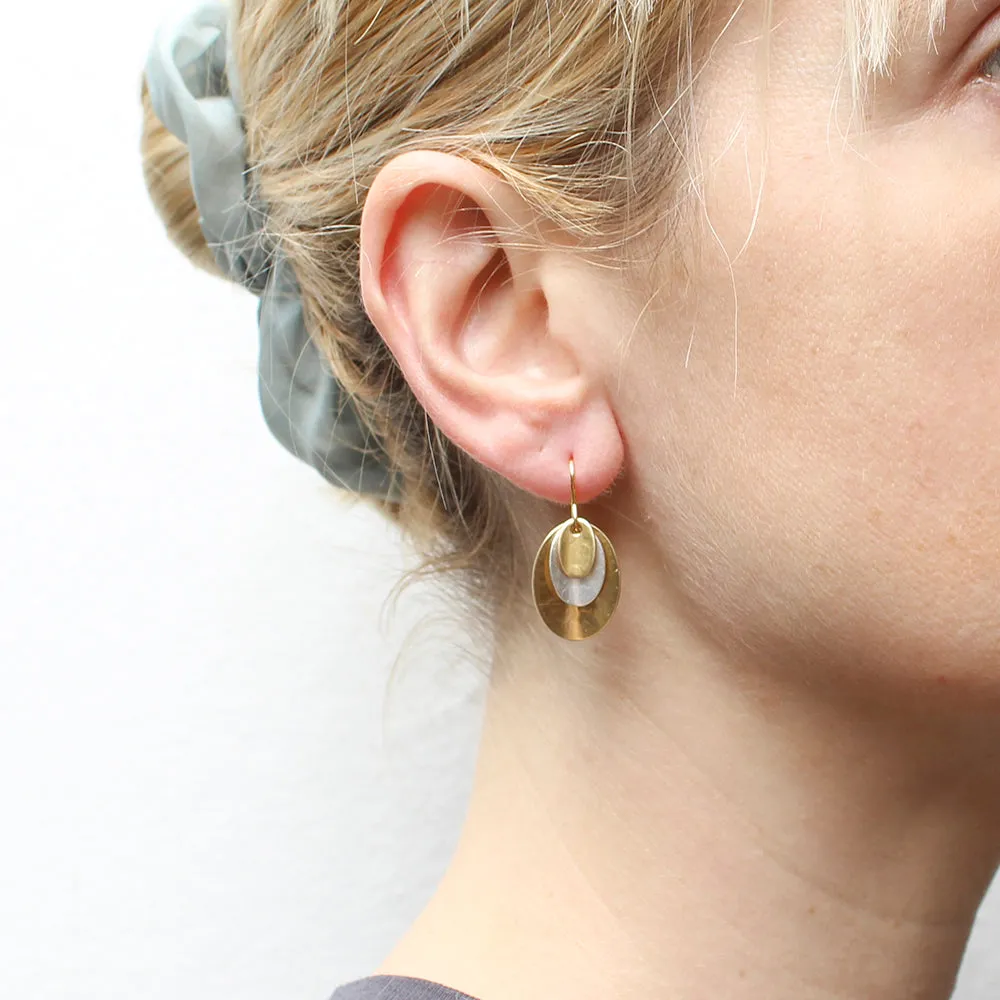 Layered Dished Ovals Wire Earrings