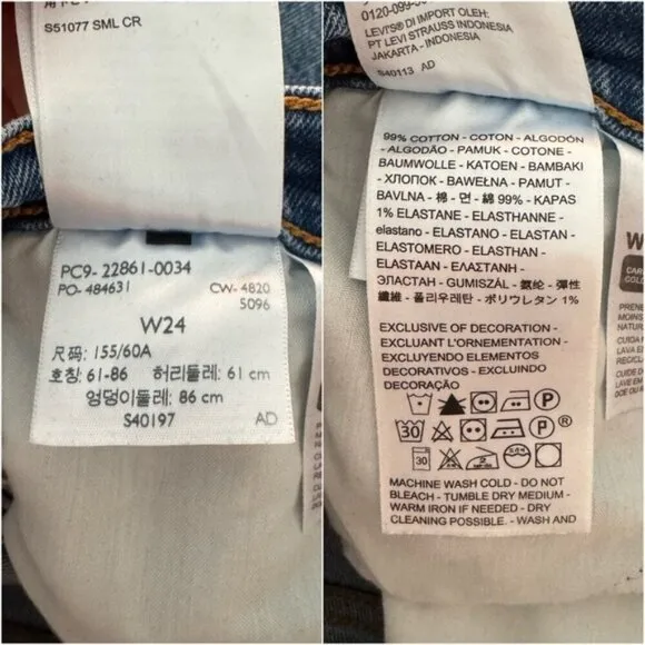 LEVI’S • Wedgie Icon Fit in These Dreams • 24