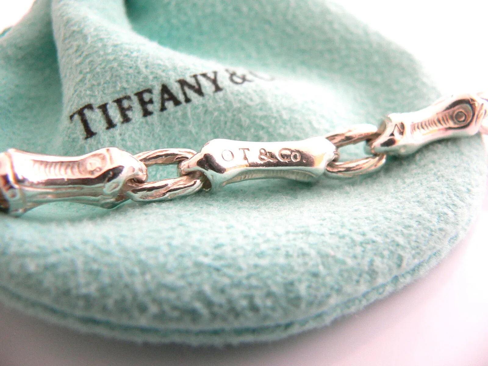 Tiffany & Co Silver Nature Bamboo Link Charm Necklace 19 Inch Chain Longer Gift